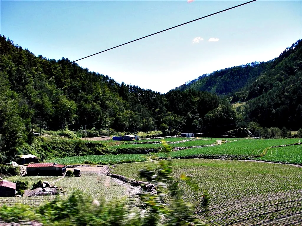 省道台七線上的田園風光