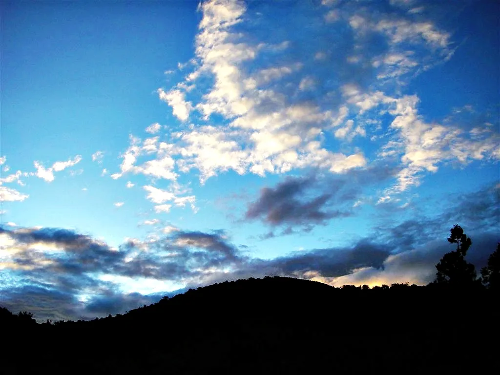 武陵農場的清晨光線