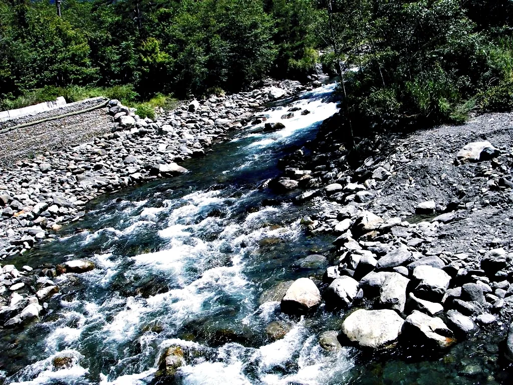 武陵農場觀魚台