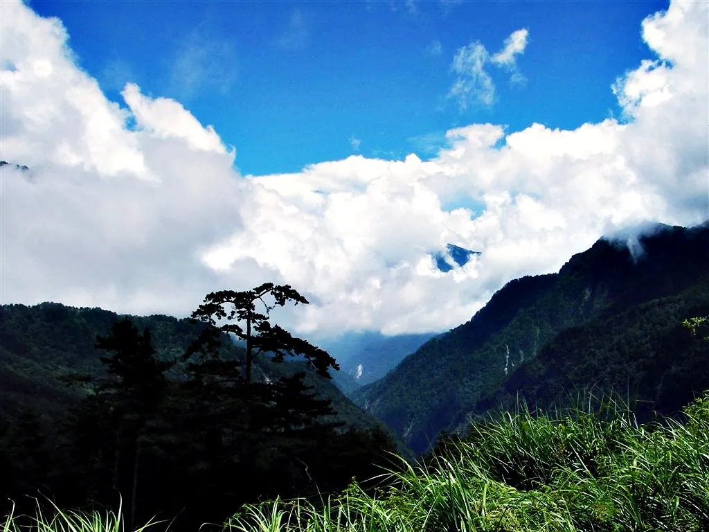 深山裡漂浮的白雲