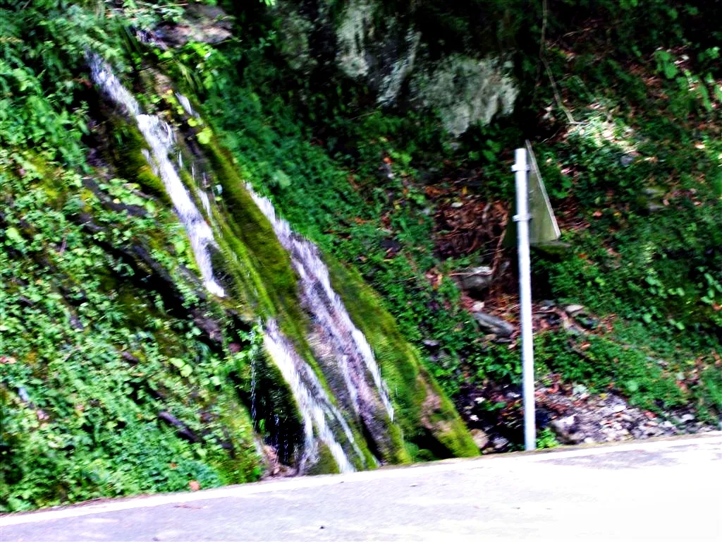 清澈見底的山間水溝