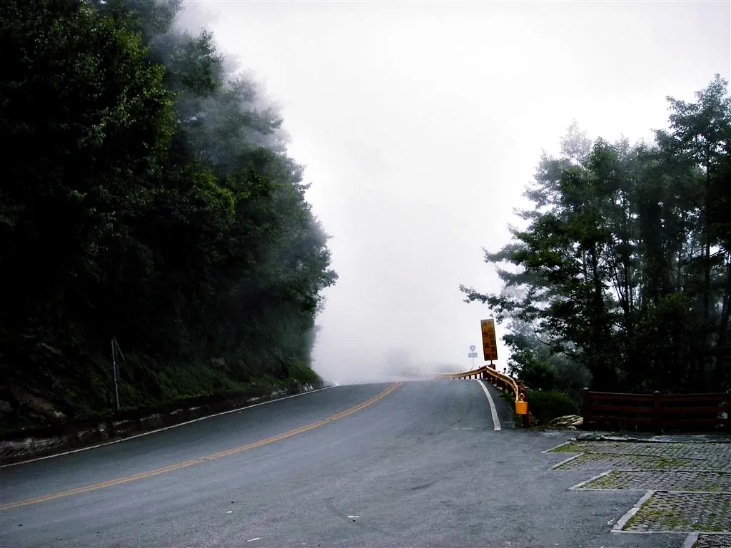 濃霧覆蓋的山路