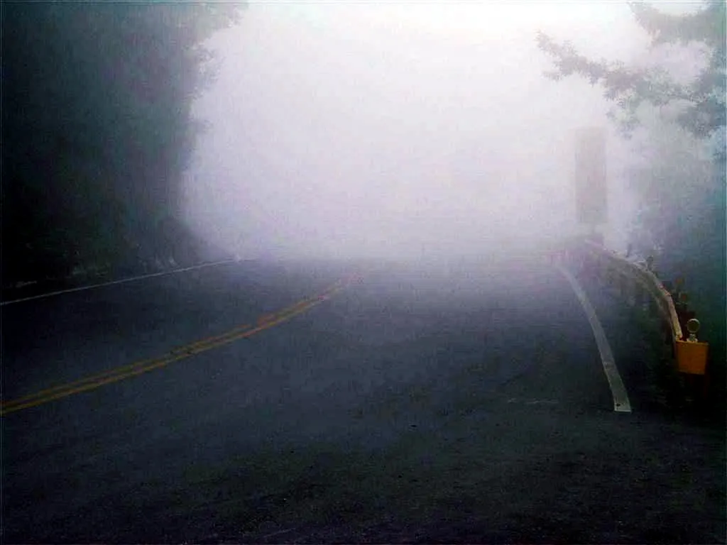 大霧中的路徑指示