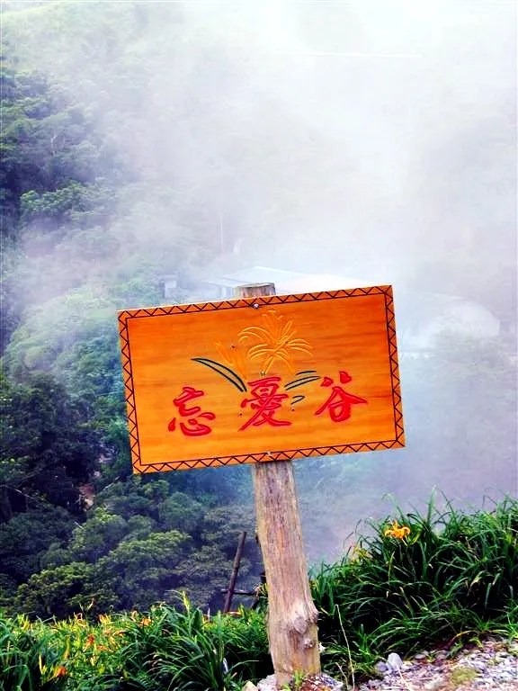 太麻里金針花：忘憂谷