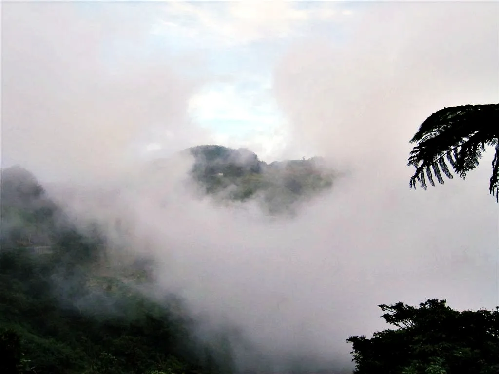 雲霧繚繞的忘憂谷