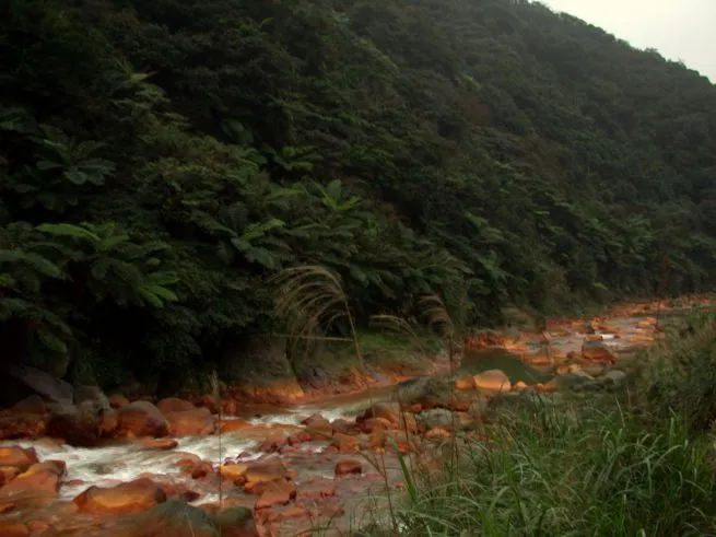 前往溫泉的山路